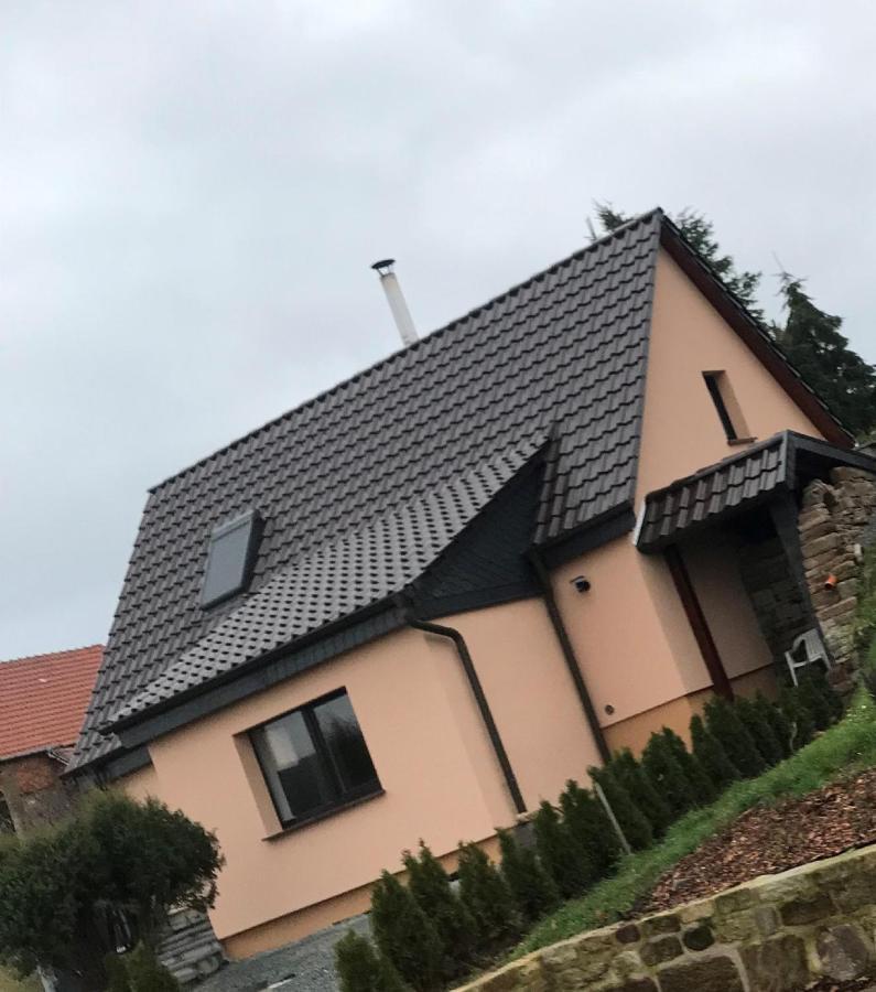 Ferienhaus Unstrutblick Kaiserpfalz 外观 照片